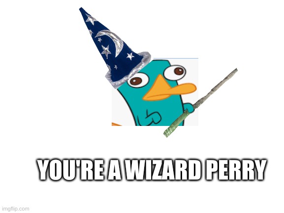 Blank White Template | YOU'RE A WIZARD PERRY | image tagged in blank white template,perry the platypus | made w/ Imgflip meme maker