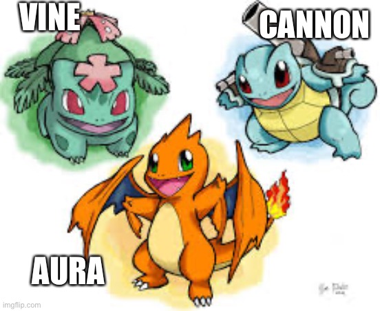 I love this | VINE; CANNON; AURA | image tagged in pokemon,charmander,squirtle,bulbasur,mega evolution | made w/ Imgflip meme maker