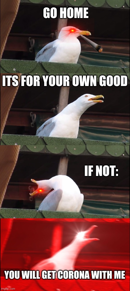 2020 seagull | GO HOME; ITS FOR YOUR OWN GOOD; IF NOT:; YOU WILL GET CORONA WITH ME | image tagged in memes,inhaling seagull | made w/ Imgflip meme maker