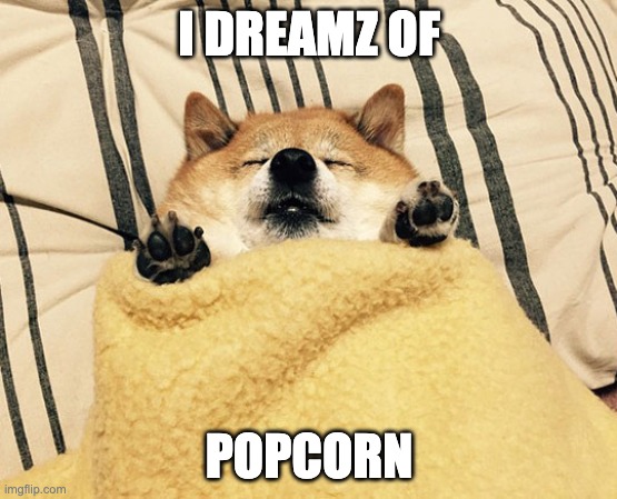 Fat Doge | I DREAMZ OF; POPCORN | image tagged in fat doge | made w/ Imgflip meme maker