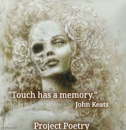 Project Poetry | "Touch has a memory."; John Keats; Project Poetry | image tagged in poetry,art,new meme,darkside,beauty | made w/ Imgflip meme maker