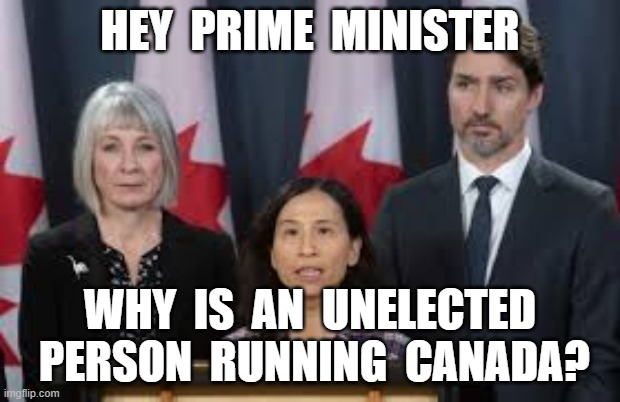 HEY  PRIME  MINISTER; WHY  IS  AN  UNELECTED  PERSON  RUNNING  CANADA? | image tagged in justin trudeau,theresa tam,covid19,coronavirus,flu,communism | made w/ Imgflip meme maker