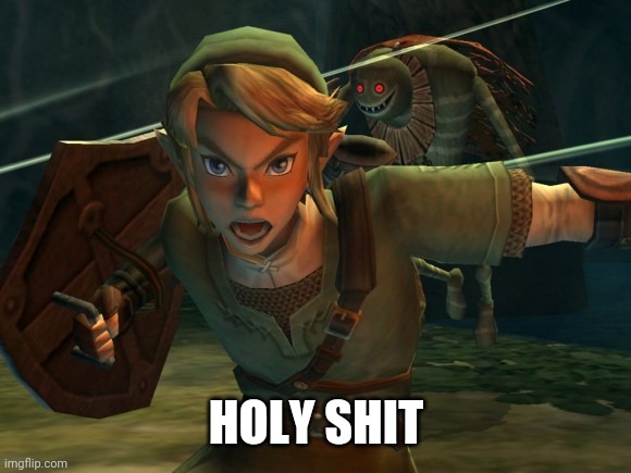 Link Legend of Zelda Yelling | HOLY SHIT | image tagged in link legend of zelda yelling | made w/ Imgflip meme maker