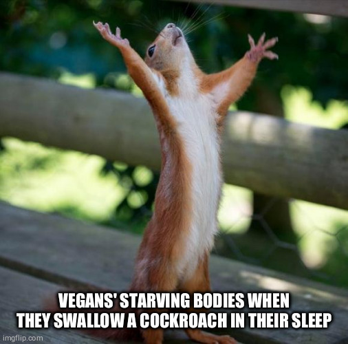 finally | VEGANS' STARVING BODIES WHEN THEY SWALLOW A COCKROACH IN THEIR SLEEP | image tagged in finally,vegan | made w/ Imgflip meme maker