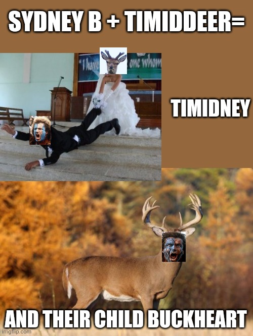 Couldn't resist | SYDNEY B + TIMIDDEER=; TIMIDNEY; AND THEIR CHILD BUCKHEART | image tagged in whitetail deer,timiddeer,sydneyb,braveheart mel gibson | made w/ Imgflip meme maker