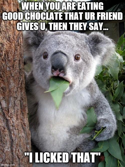 Surprised Koala Meme | WHEN YOU ARE EATING GOOD CHOCLATE THAT UR FRIEND GIVES U, THEN THEY SAY... "I LICKED THAT" | image tagged in memes,surprised koala | made w/ Imgflip meme maker