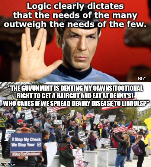 The "rights" of the Far Right outweigh common sense. | NLG; "THE GUVUNMINT IS DENYING MY CAWNSITOOTIONAL RIGHT TO GET A HAIRCUT AND EAT AT DENNY'S! 
 WHO CARES IF WE SPREAD DEADLY DISEASE TO LIBRULS?" | image tagged in politics,political meme,political | made w/ Imgflip meme maker