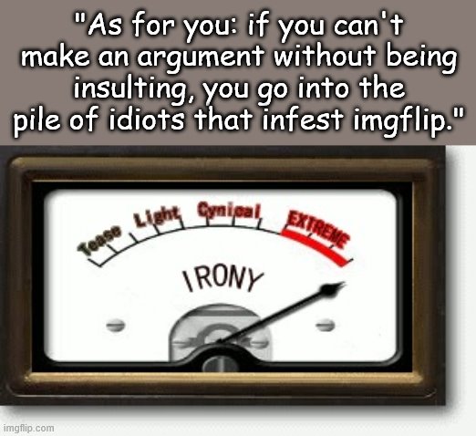 Self-explanatory. | "As for you: if you can't make an argument without being insulting, you go into the pile of idiots that infest imgflip." | image tagged in irony meter,imgflippers,trolling the troll,imgflip trolls,irony,insults | made w/ Imgflip meme maker