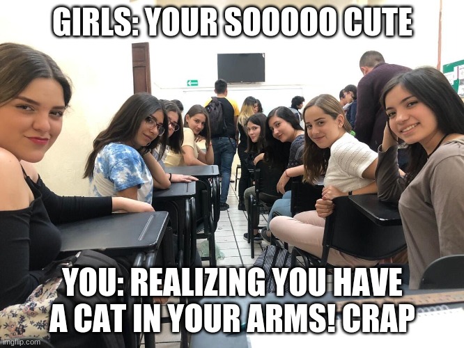 Girls in class looking back | GIRLS: YOUR SOOOOO CUTE; YOU: REALIZING YOU HAVE A CAT IN YOUR ARMS! CRAP | image tagged in girls in class looking back | made w/ Imgflip meme maker