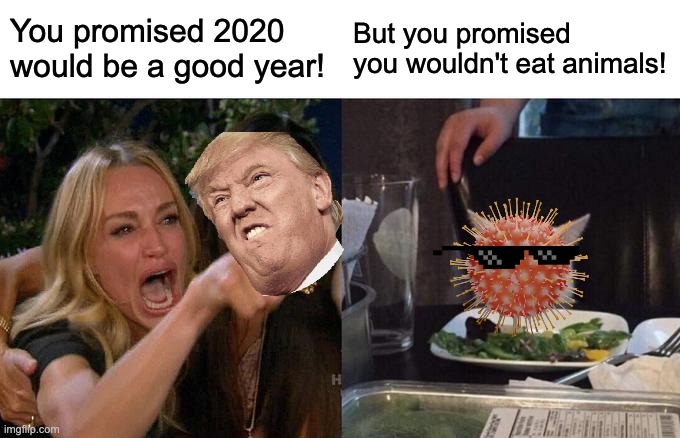 Woman Yelling At Cat | You promised 2020 would be a good year! But you promised you wouldn't eat animals! | image tagged in memes | made w/ Imgflip meme maker