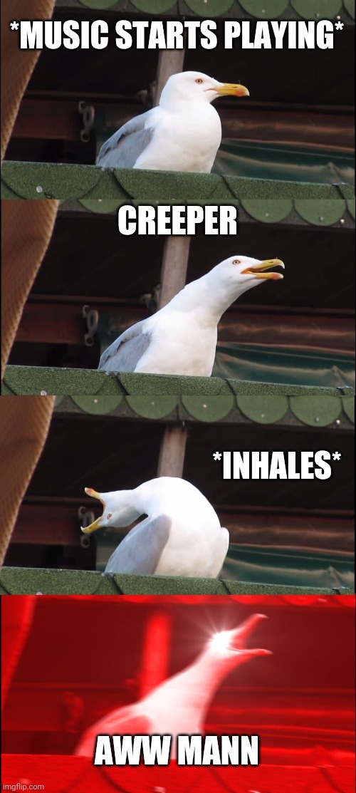Inhaling Seagull Meme | *MUSIC STARTS PLAYING*; CREEPER; *INHALES*; AWW MANN | image tagged in memes,inhaling seagull | made w/ Imgflip meme maker