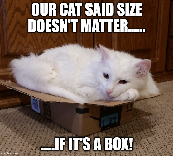 The size | OUR CAT SAID SIZE DOESN'T MATTER...... .....IF IT'S A BOX! | image tagged in funny memes | made w/ Imgflip meme maker