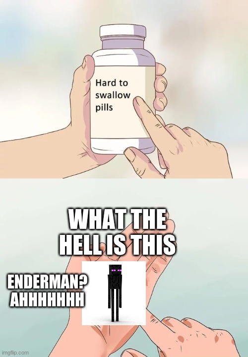 Hard To Swallow Pills | WHAT THE HELL IS THIS; ENDERMAN?
AHHHHHHH | image tagged in memes,hard to swallow pills | made w/ Imgflip meme maker