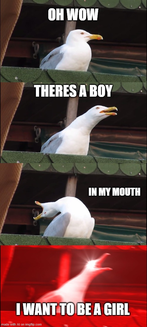 Inhaling Seagull Meme | OH WOW; THERES A BOY; IN MY MOUTH; I WANT TO BE A GIRL | image tagged in memes,inhaling seagull | made w/ Imgflip meme maker