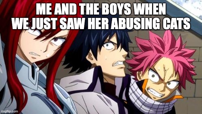 Anime is Not Cartoon | ME AND THE BOYS WHEN WE JUST SAW HER ABUSING CATS | image tagged in anime is not cartoon | made w/ Imgflip meme maker