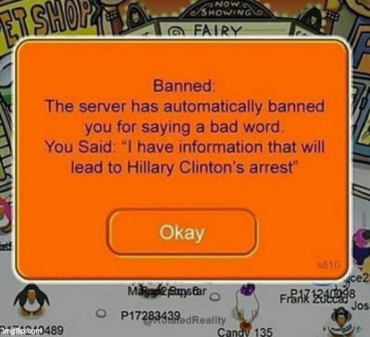 Club Penguin | image tagged in club penguin,hillary clinton | made w/ Imgflip meme maker