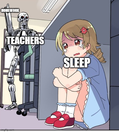 Anime Terminator | HOMEWORK; TEACHERS; SLEEP | image tagged in anime terminator | made w/ Imgflip meme maker