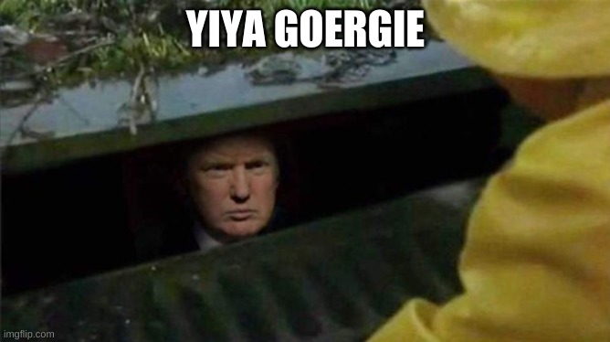 Trump Pennywise | YIYA GOERGIE | image tagged in trump pennywise | made w/ Imgflip meme maker