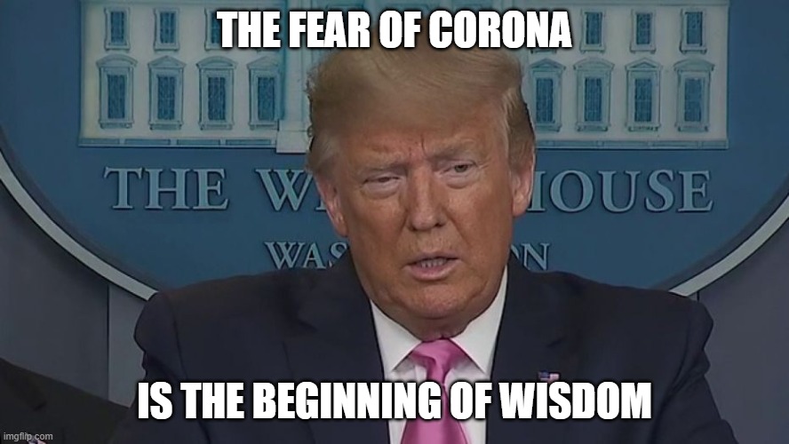 The Fear of Corona is the Beginning of Wisdom | THE FEAR OF CORONA; IS THE BEGINNING OF WISDOM | image tagged in if only you knew how bad things really are | made w/ Imgflip meme maker
