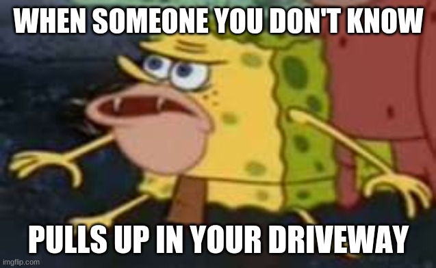 When someone pulls up in your driveway |  WHEN SOMEONE YOU DON'T KNOW; PULLS UP IN YOUR DRIVEWAY | image tagged in memes,spongegar | made w/ Imgflip meme maker