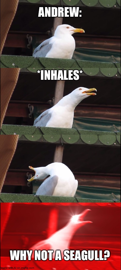 Inhaling Seagull Meme | ANDREW:; *INHALES*; WHY NOT A SEAGULL? | image tagged in memes,inhaling seagull | made w/ Imgflip meme maker