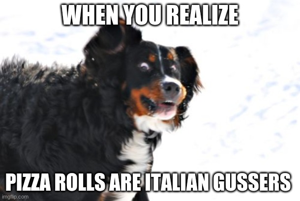 Crazy Dawg | WHEN YOU REALIZE; PIZZA ROLLS ARE ITALIAN GUSSERS | image tagged in memes,crazy dawg | made w/ Imgflip meme maker