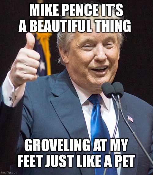 MIKE PENCE IT’S A BEAUTIFUL THING GROVELING AT MY FEET JUST LIKE A PET | made w/ Imgflip meme maker