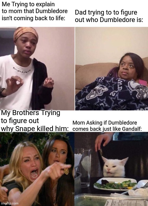 So we watched The Half Blood Prince... | Me Trying to explain to mom that Dumbledore isn't coming back to life:; Dad trying to to figure out who Dumbledore is:; Mom Asking if Dumbledore comes back just like Gandalf:; My Brothers Trying to figure out why Snape killed him: | image tagged in me explaining to my mom,memes,woman yelling at cat,harry potter,severus snape,dumbledore | made w/ Imgflip meme maker
