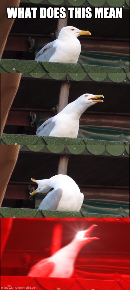 What does it mean? | WHAT DOES THIS MEAN | image tagged in memes,inhaling seagull | made w/ Imgflip meme maker