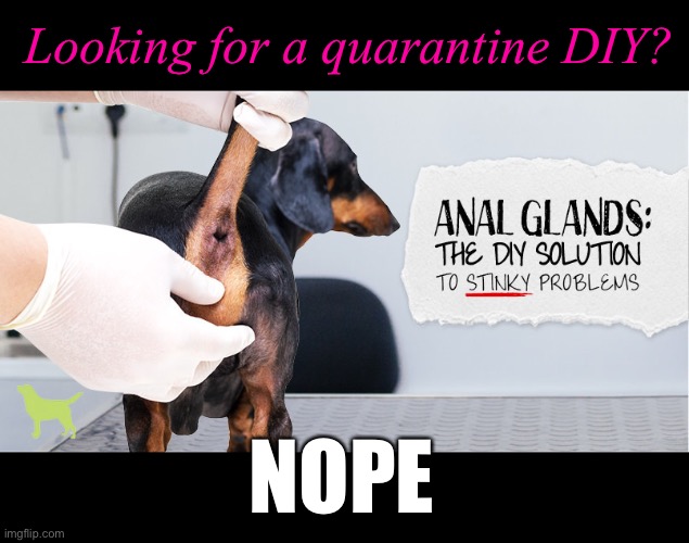 Quarantine DIY | Looking for a quarantine DIY? NOPE | image tagged in quarantine,diy,diy fails,funny,coronavirus,dark humor | made w/ Imgflip meme maker