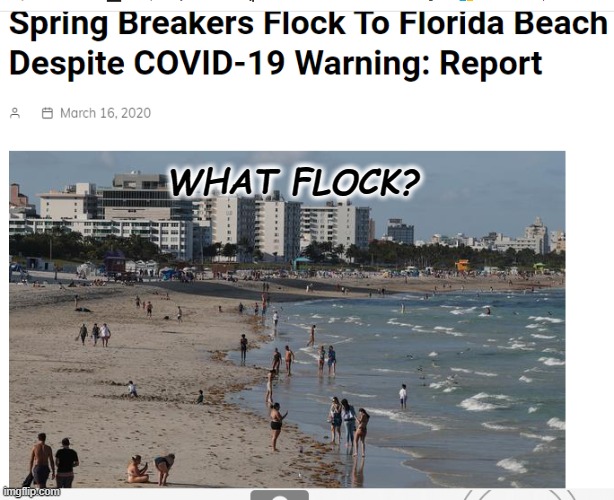 spring break | WHAT FLOCK? | image tagged in 2020 | made w/ Imgflip meme maker