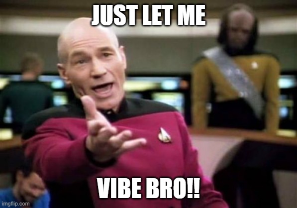 Picard Wtf Meme | JUST LET ME; VIBE BRO!! | image tagged in memes,picard wtf | made w/ Imgflip meme maker