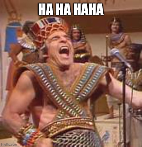 Steve Martin Egyptian | HA HA HAHA | image tagged in steve martin egyptian | made w/ Imgflip meme maker