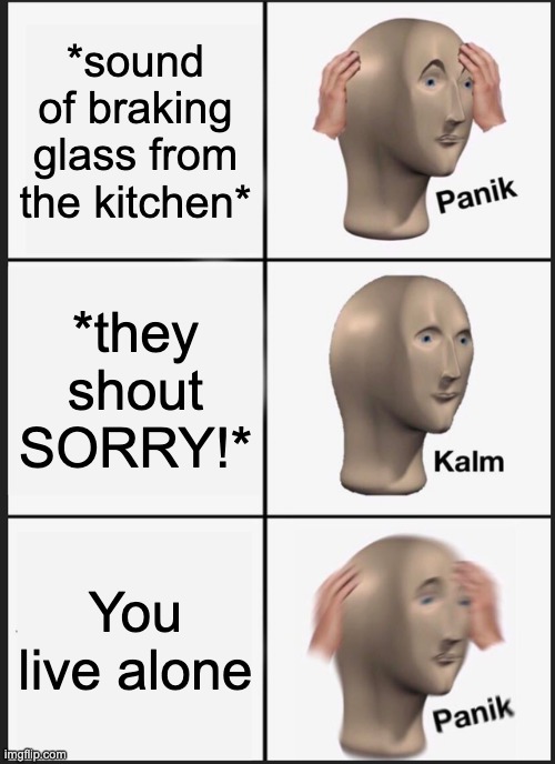 Panik Kalm Panik Meme | *sound of braking glass from the kitchen*; *they shout SORRY!*; You live alone | image tagged in memes,panik kalm panik | made w/ Imgflip meme maker