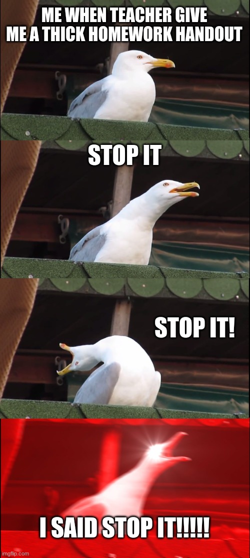 Inhaling Seagull | ME WHEN TEACHER GIVE ME A THICK HOMEWORK HANDOUT; STOP IT; STOP IT! I SAID STOP IT!!!!! | image tagged in memes,inhaling seagull | made w/ Imgflip meme maker