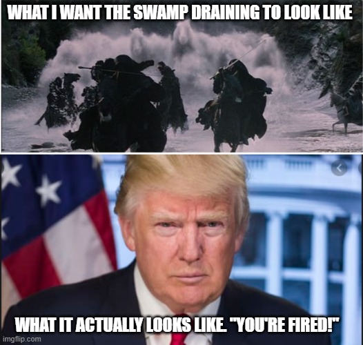 Slow and steady | WHAT I WANT THE SWAMP DRAINING TO LOOK LIKE; WHAT IT ACTUALLY LOOKS LIKE. "YOU'RE FIRED!" | image tagged in donald trump,drain the swamp | made w/ Imgflip meme maker