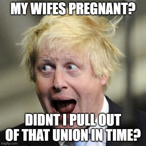 Boris Johnson | MY WIFES PREGNANT? DIDNT I PULL OUT OF THAT UNION IN TIME? | image tagged in boris johnson,brexit | made w/ Imgflip meme maker