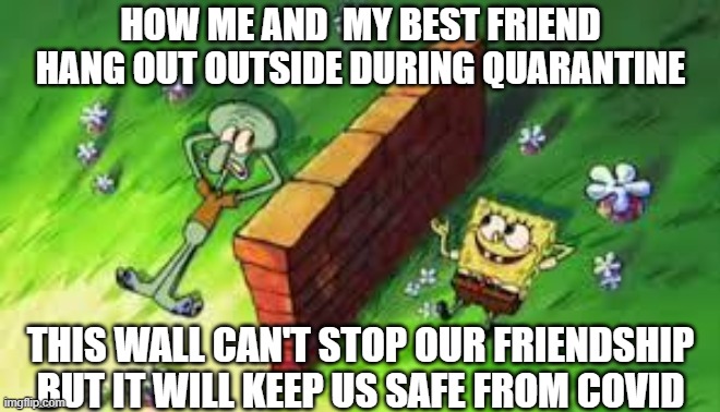 COVID Barrier | HOW ME AND  MY BEST FRIEND HANG OUT OUTSIDE DURING QUARANTINE; THIS WALL CAN'T STOP OUR FRIENDSHIP BUT IT WILL KEEP US SAFE FROM COVID | image tagged in spongebob,covid,covid-19,covid19,covid 19,covidiots | made w/ Imgflip meme maker