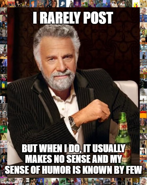 Most Interesting Man | I RARELY POST; BUT WHEN I DO, IT USUALLY MAKES NO SENSE AND MY SENSE OF HUMOR IS KNOWN BY FEW | image tagged in memes,the most interesting man in the world,sarcasm,humor | made w/ Imgflip meme maker