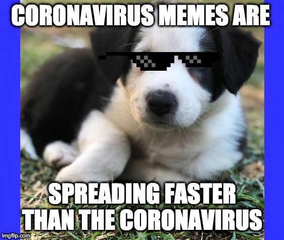 Corona Dog | CORONAVIRUS MEMES ARE; SPREADING FASTER THAN THE CORONAVIRUS | image tagged in coronavirus | made w/ Imgflip meme maker