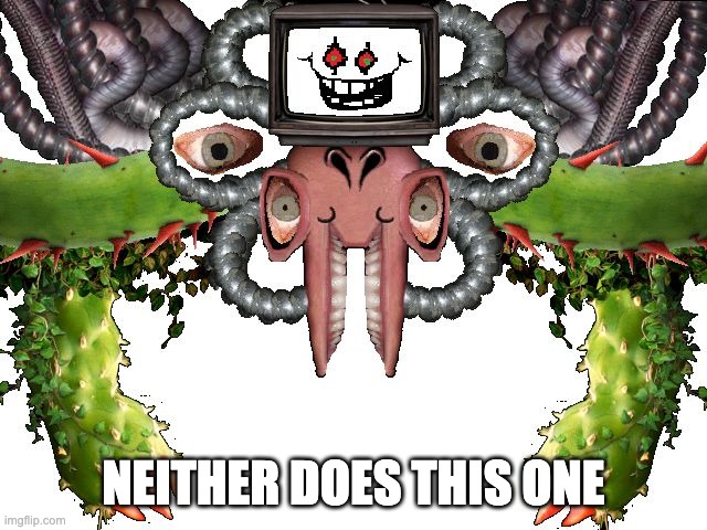 Omega Flowey | NEITHER DOES THIS ONE | image tagged in omega flowey | made w/ Imgflip meme maker