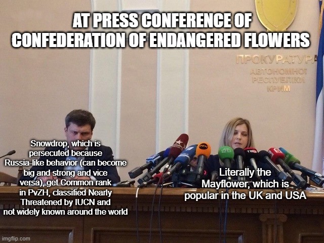 That's why EA more prefer American plants. | AT PRESS CONFERENCE OF CONFEDERATION OF ENDANGERED FLOWERS; Snowdrop, which is persecuted because Russia-like behavior (can become big and strong and vice versa), get Common rank in PvZH, classified Nearly Threatened by IUCN and not widely known around the world; Literally the Mayflower, which is popular in the UK and USA | image tagged in reporter meme,pvzh memes | made w/ Imgflip meme maker