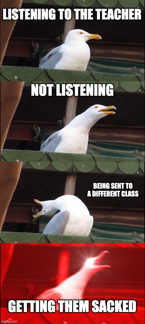 Inhaling Seagull Meme | LISTENING TO THE TEACHER; NOT LISTENING; BEING SENT TO A DIFFERENT CLASS; GETTING THEM SACKED | image tagged in memes,inhaling seagull | made w/ Imgflip meme maker