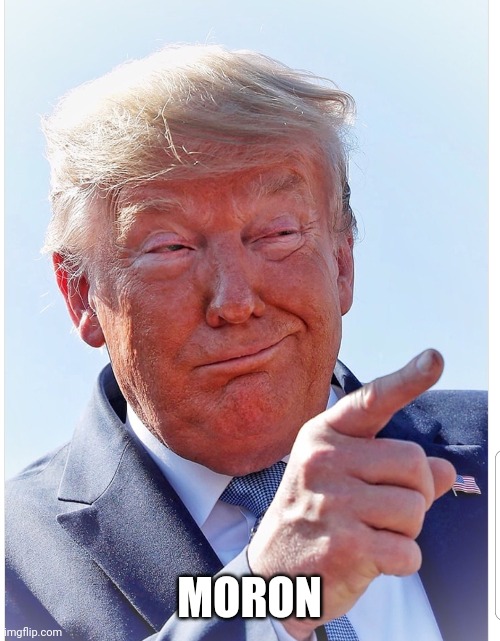 Trump pointing | MORON | image tagged in trump pointing | made w/ Imgflip meme maker
