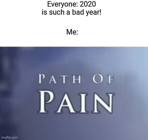 Path of pain hollow knight | Everyone: 2020 is such a bad year! Me: | image tagged in path of pain hollow knight | made w/ Imgflip meme maker