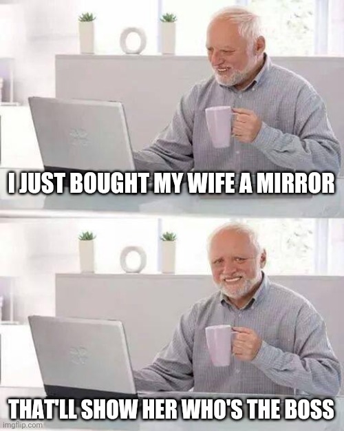 Hide the Pain Harold Meme | I JUST BOUGHT MY WIFE A MIRROR; THAT'LL SHOW HER WHO'S THE BOSS | image tagged in memes,hide the pain harold | made w/ Imgflip meme maker
