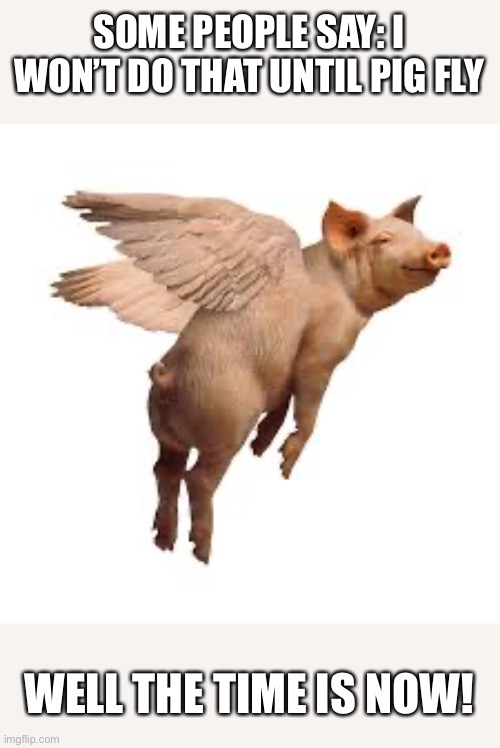 The time is now | SOME PEOPLE SAY: I WON’T DO THAT UNTIL PIG FLY; WELL THE TIME IS NOW! | image tagged in pigs fly | made w/ Imgflip meme maker