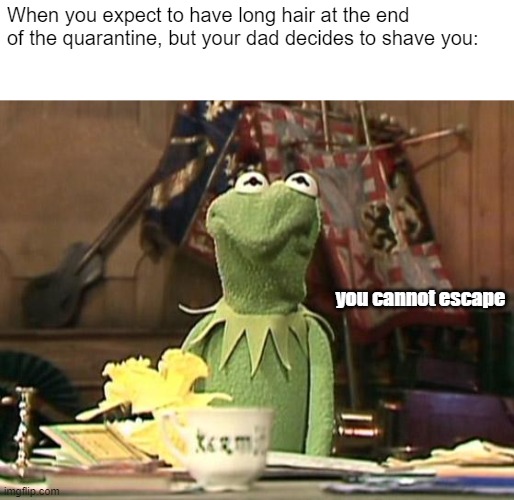 Annoyed Kermit | When you expect to have long hair at the end of the quarantine, but your dad decides to shave you:; you cannot escape | image tagged in annoyed kermit | made w/ Imgflip meme maker