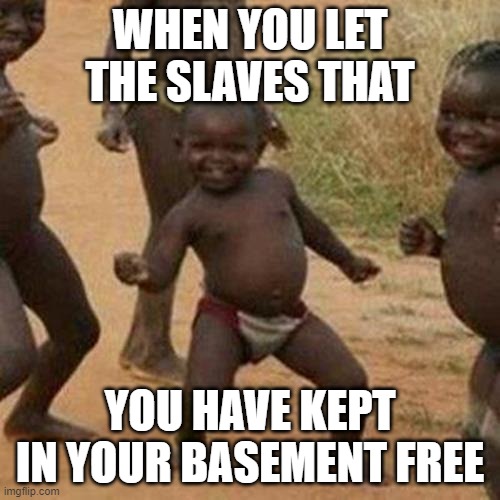 Third World Success Kid Meme | WHEN YOU LET THE SLAVES THAT; YOU HAVE KEPT IN YOUR BASEMENT FREE | image tagged in memes,third world success kid | made w/ Imgflip meme maker