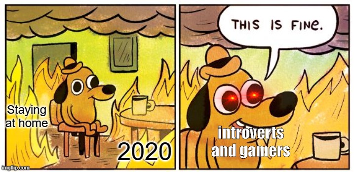 This Is Fine | Staying at home; introverts and gamers; 2020 | image tagged in memes,this is fine | made w/ Imgflip meme maker